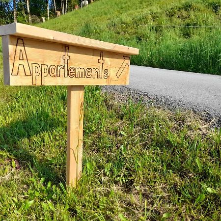 Appartement Sonnseitn Алтенмаркт им Понгау Екстериор снимка