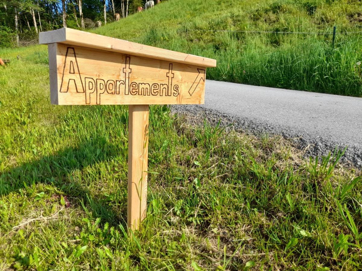 Appartement Sonnseitn Алтенмаркт им Понгау Екстериор снимка